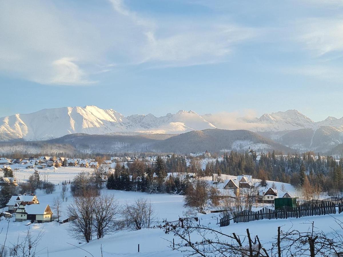 Villa Dorota Zakopane Exteriör bild