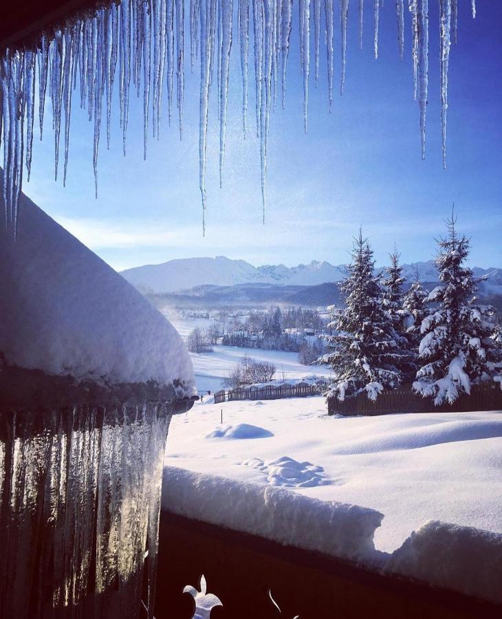 Villa Dorota Zakopane Exteriör bild