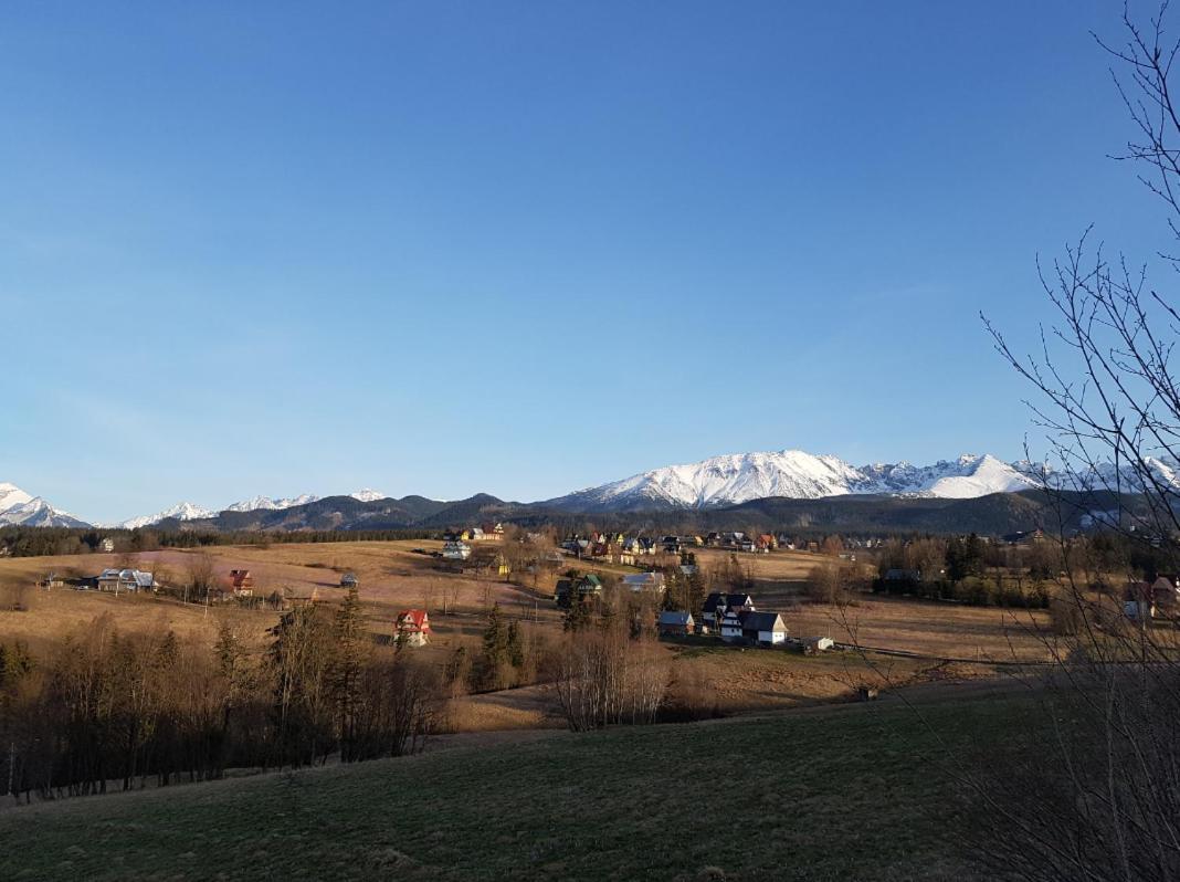 Villa Dorota Zakopane Exteriör bild
