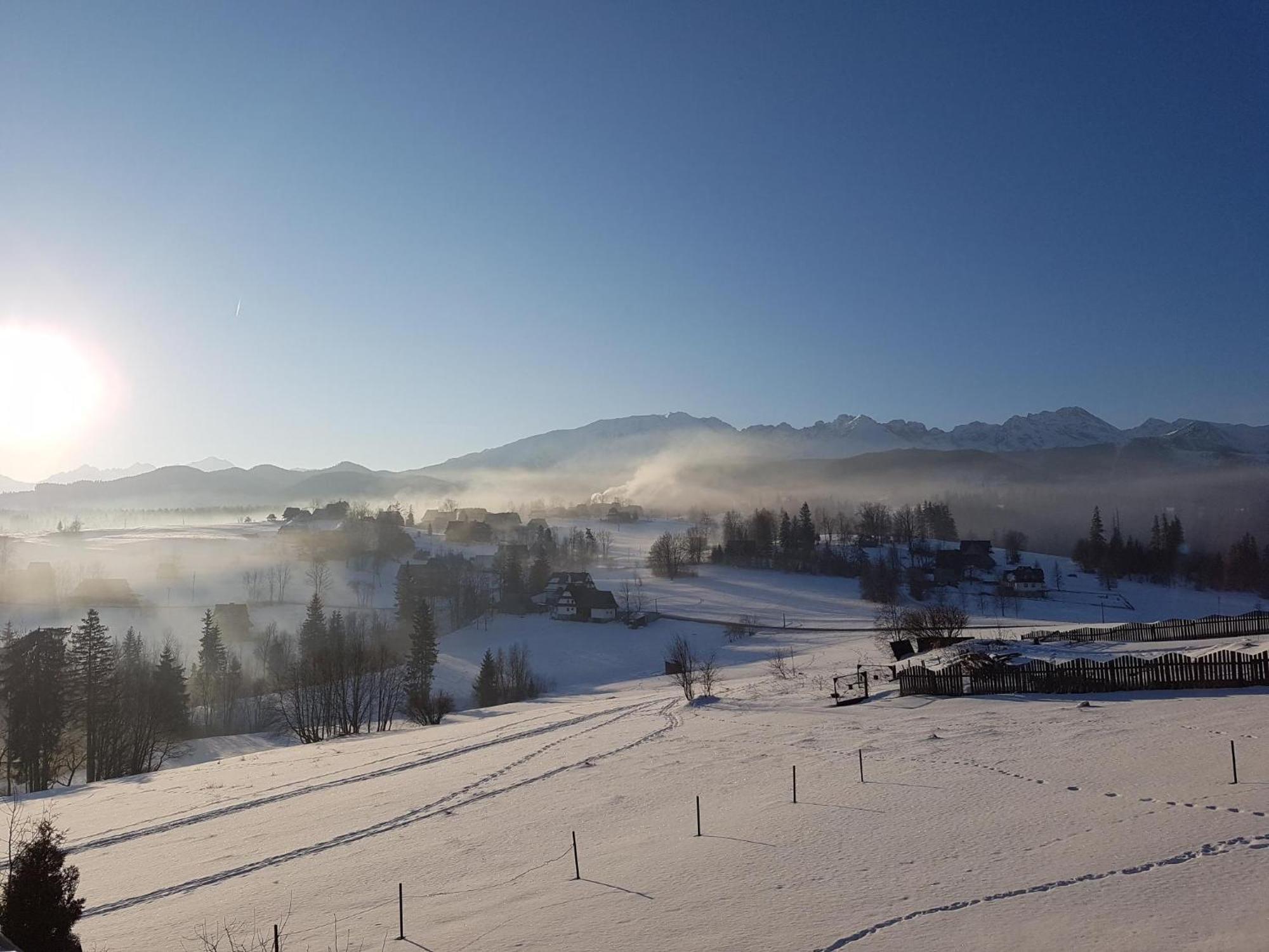 Villa Dorota Zakopane Exteriör bild